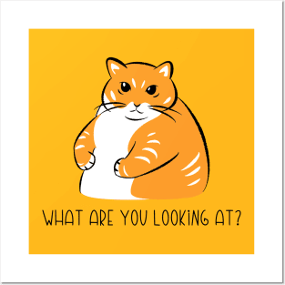 What are you Looking at? Posters and Art